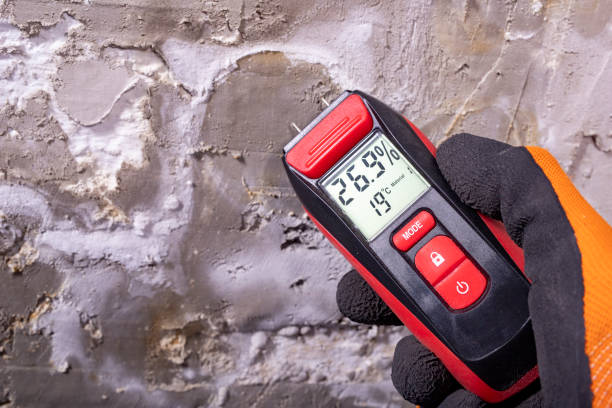 Best Commercial Mold Removal  in Waterbury, CT