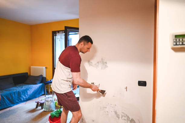 Office Mold Removal Services in Waterbury, CT